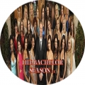THE BACHELOR SEASON 11