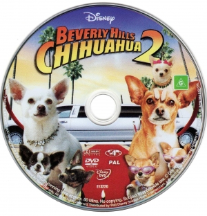 BEVERLY HILLS CHIHUAHUA 1+2