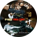 IP MAN 4 - THE FINAL FIGHT